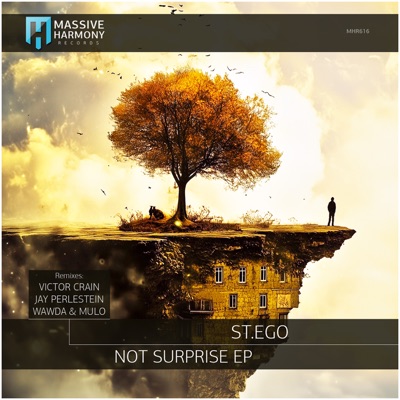 Not Surprise - Single