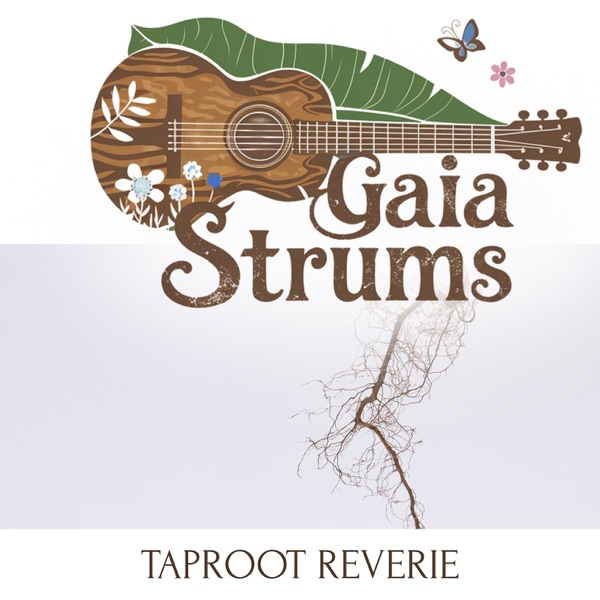 Taproot Reverie