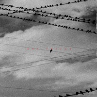 Detox - Single - Kay Trizzz