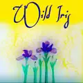WILD IRIS