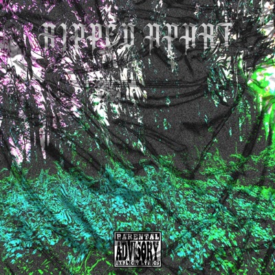 RIPPED APART - Single