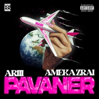 Pavaner (feat. Ameka Zrai) - Single - Arii