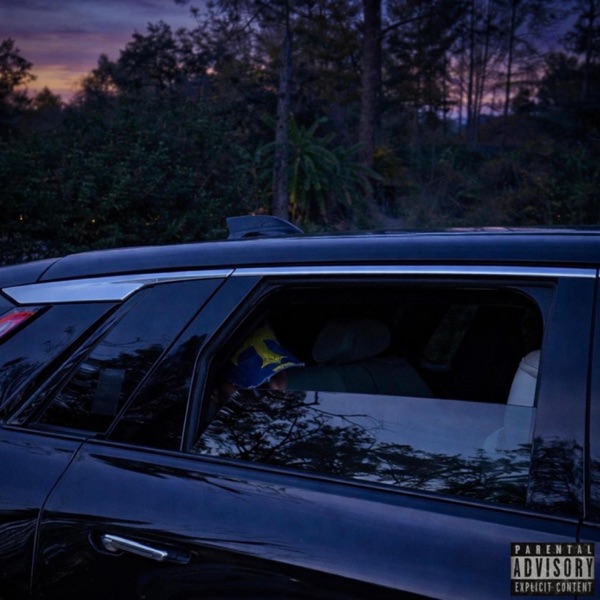 Windows Tinted