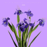 Revelations - Single - eesaa