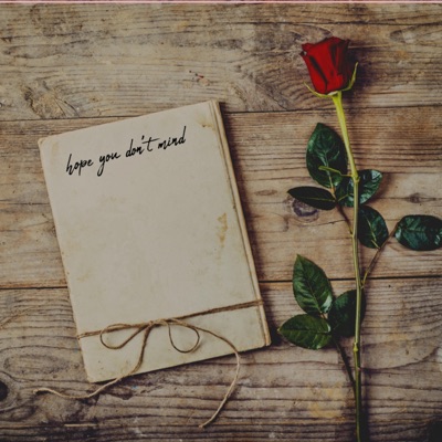 hope you don't mind - Single