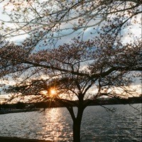 oscillations - Single - Static Res & snooze