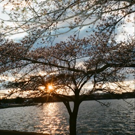 oscillations Static Res & snooze