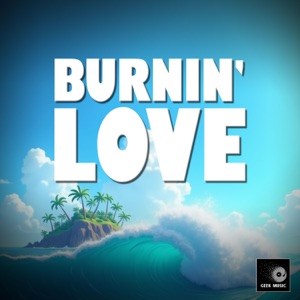 Burnin' Love (Cover Version)