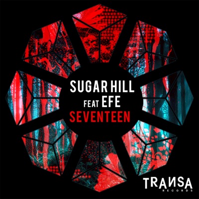 Seventeen (Radio Mix) [feat. Efe] - Single