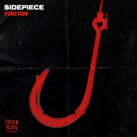 Function SIDEPIECE