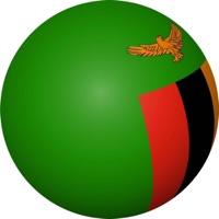 Round Wngs - Single - Pretty V