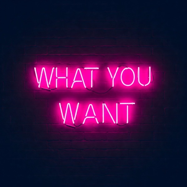 What You Want - Single