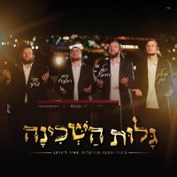 גלות השכינה (feat. שרוליק כהן & סנדי שטיינר) - Single - יואלי דוידוביץ