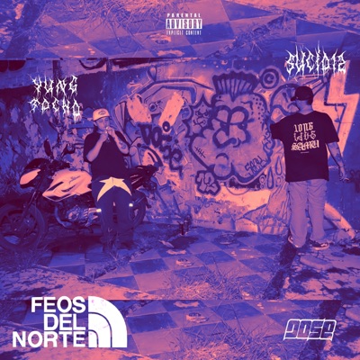 Feos del Norte - Single