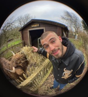 La vachette - Single - Absolem