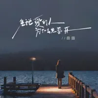 先说爱的人为什么先离开 — 田园