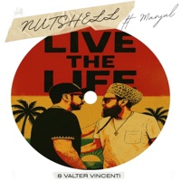 Live the Life (feat. Manjul & Valter Vincenti) - Single - NUTSHELL