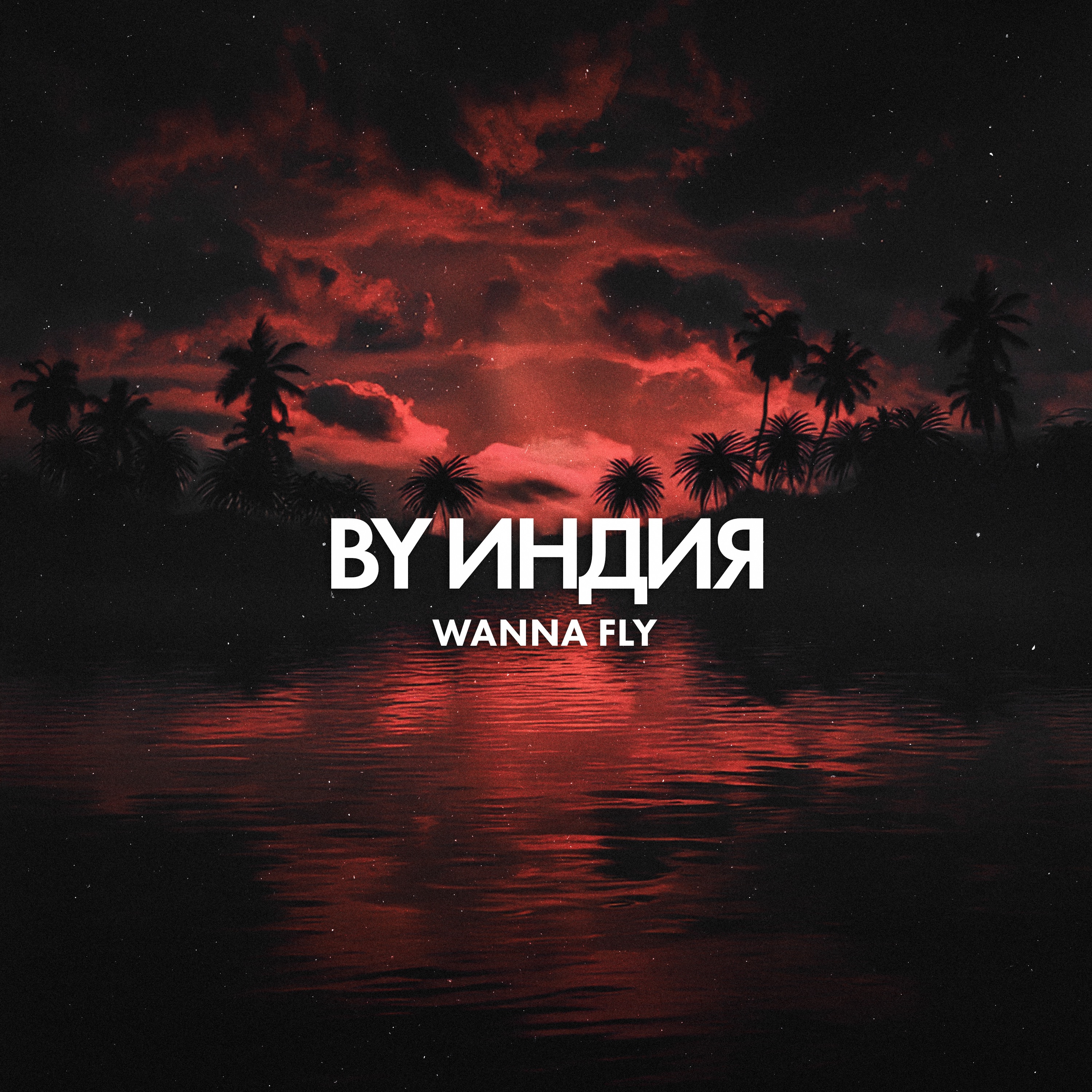 wanna fly - Single