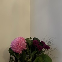 Terrible - Single - evergarden