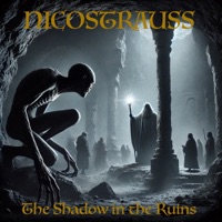 The Shadow in the Ruins - Single - Nicostrauss