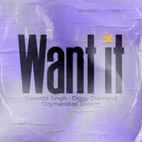 Want It - Single - Diggy Diamond, Devonte Singh & Ozymandias' Dream