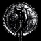 DIGITAL CANDY - Hannes Knef, RENTALOVE & 7XTEEN lyrics