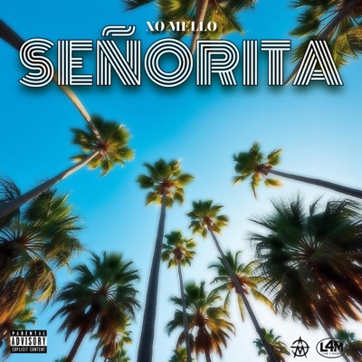 SEÑORITA - Single
