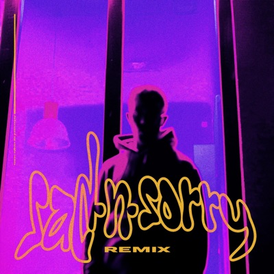 Sad'n Sorry (feat. nicht fanny) [Remix] - Single