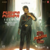 Pushpa Pushpa (From "Pushpa 2 the Rule") - TELUGU artwork