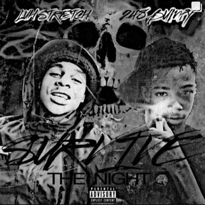 (Lost file) survive the night vol 1