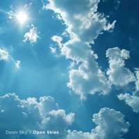 Open Skies - Single - Tone Ranger