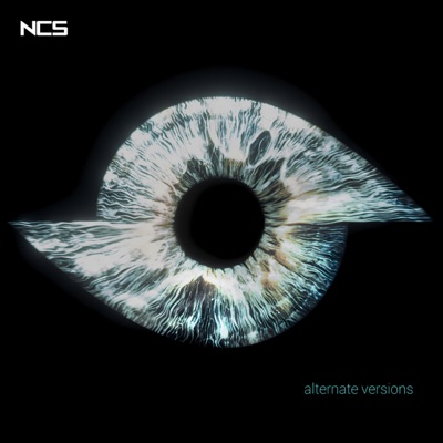 Recall (Alternate Versions) - EP