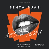 Senta Suas Amigas Toda (feat. SL GANG) - Single - Duduzinho & DJ Pedrinho