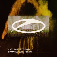 Damaged (feat. Fiora) [Gxd Remix] - Single - Antillas