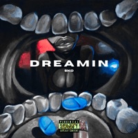 DREAMIN - Single - sko