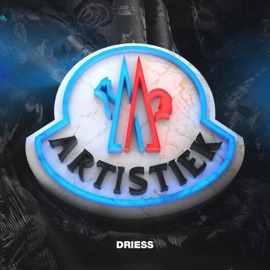 Artistiek Driess