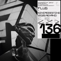 Sincrodestino (2025 Remake) - Single - Flug