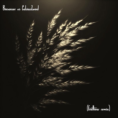 Strohalm (Frietboer Remix) - Single