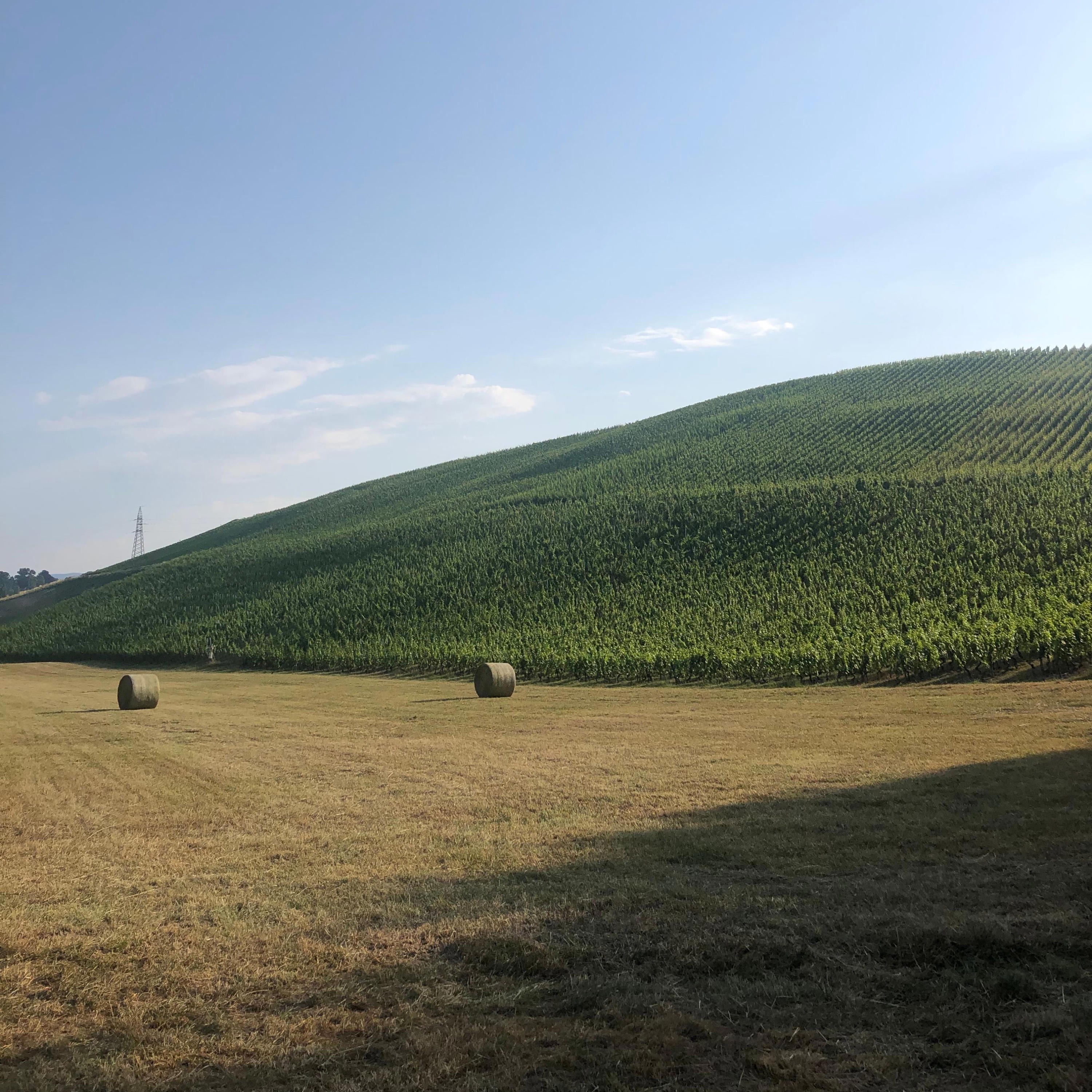 Can't Be Someone Else - Single