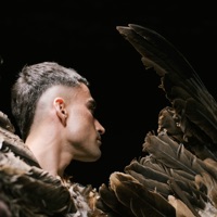 Ícaro - Single - DULZARO