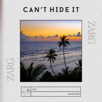 Can't Hide It - Single - ZARG