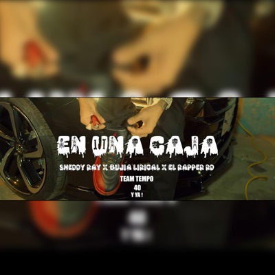 En una caja (feat. sheddy ray, Bujia Lirical & El RapperRD) - Single