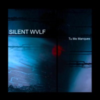 Silent WVLF - 10 VIRGINS