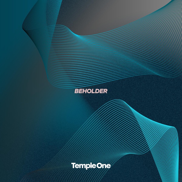 Beholder - Single