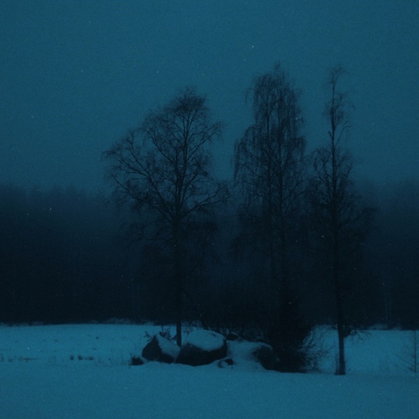 cold embrace - Single