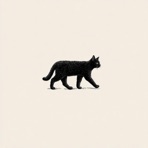 slow rush - Single