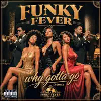 Why you gotta go — FUNKY FEVER