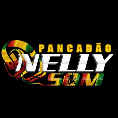 dj marcinho pancadao nelly som - melo de avenida brazil nelly som
