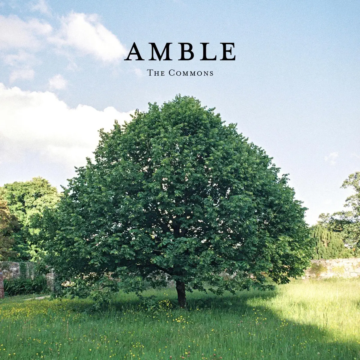 Amble - The Commons - EP (2024) [iTunes Plus AAC M4A]-新房子