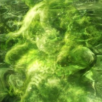 HHC - Single - shay b & albwhisp